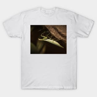 The Mantis T-Shirt